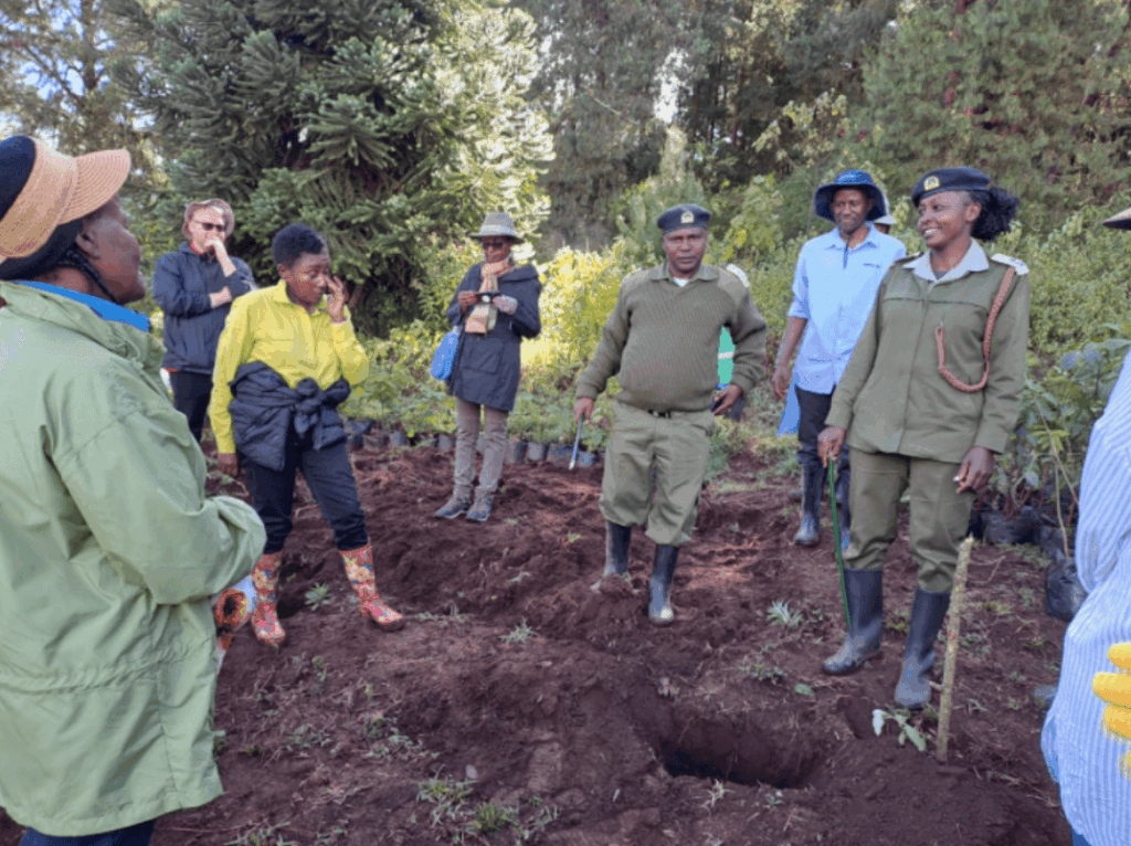 centenary tree planting 2 1 1