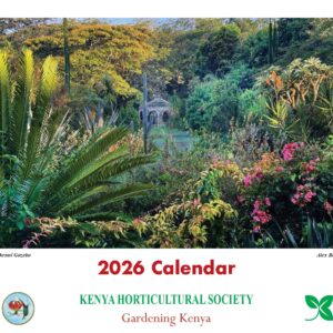 Desk Calendar 2026