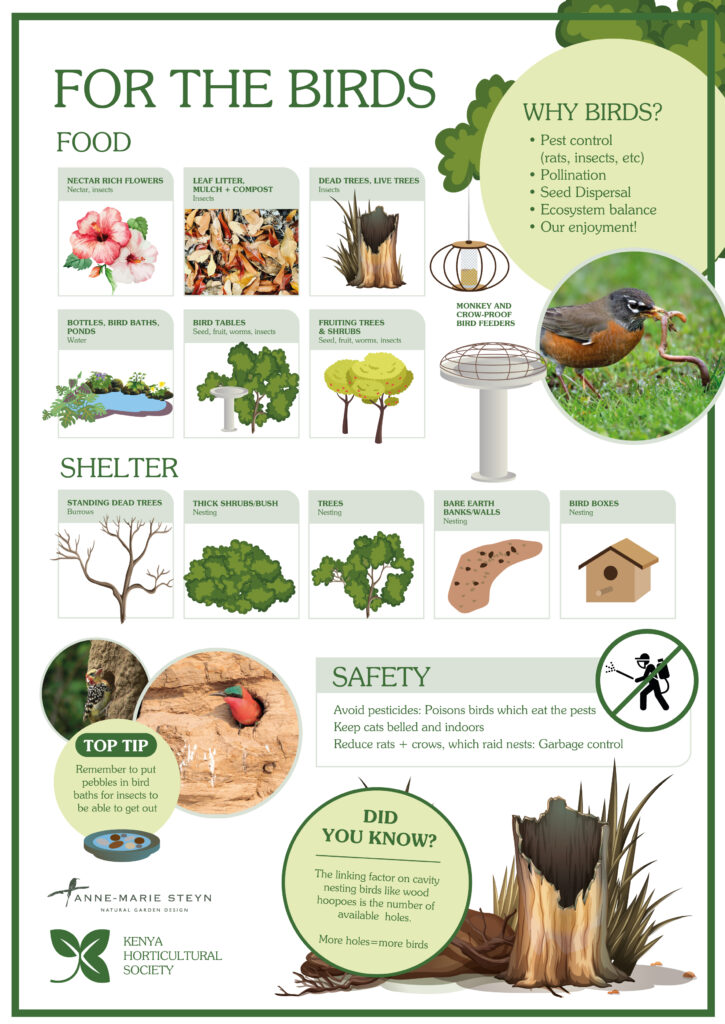 khs garden fact sheets 02 a4 01 725x1024