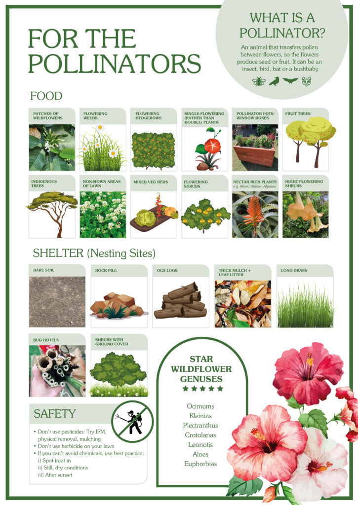 khs garden fact sheets 03 a4 01 725x1024