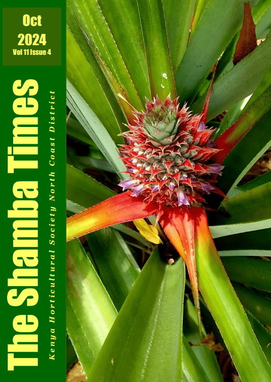 screenshot 2024 11 12 181123.png