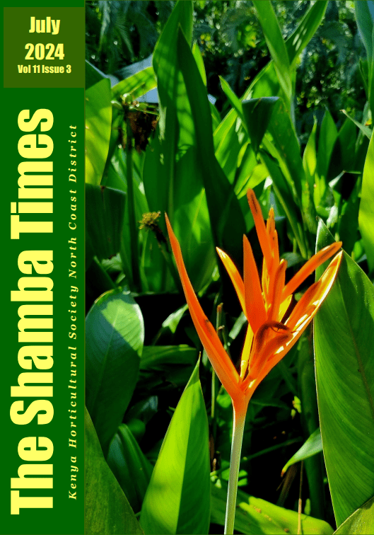 screenshot 2024 11 12 181225.png