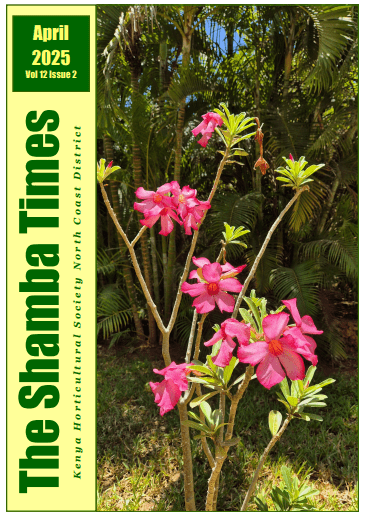 screenshot 2025 05 09 105422.png