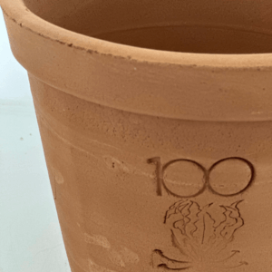 Set of 5 Terracotta Pots