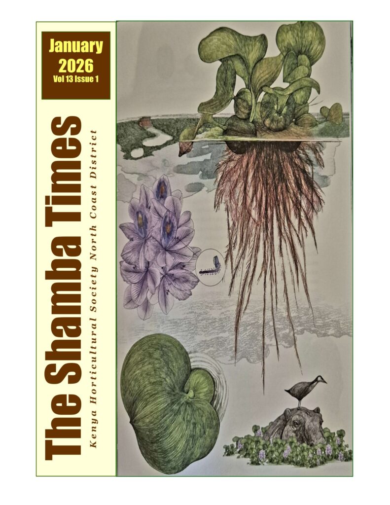 shamba times january 2026.jpg