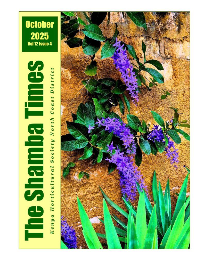 shamba times october 2025.jpg